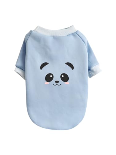   p_ ybg hbOEFA ̕ L ybgEFA h _炩 іh~   t@bV U ybgpi