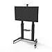 conecto LM-FS03G Pro TV Ständer Standfuß rollbar Universal für Monitor Fernseher LCD LED Plasma mobil mit Rollen höhenverstellbar schwenkbar drehbar 55-100 Zoll (152-254cm) VESA 200x200 1000x600 Alu