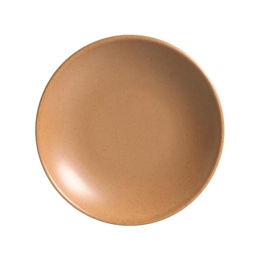 Conjunto C/ 6 Prato Fundo Coup Organic Terracota