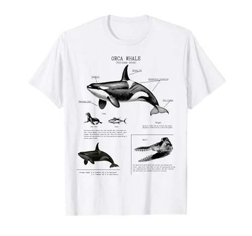 Anatomía de la ballena orca, amante de los cetáceos, biólogo marino Camiseta