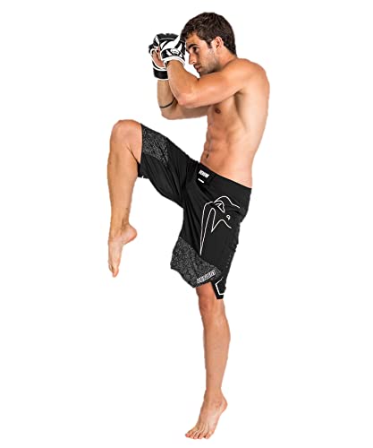 Venum Men's Light 4.0 Fightshorts2