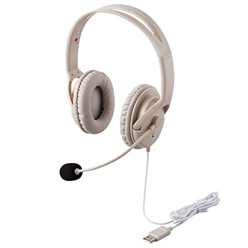 PLUS イヤホン ジブンイロ シュウチュウできる 大型ヘッドセット グレー TW-HS001 428-801