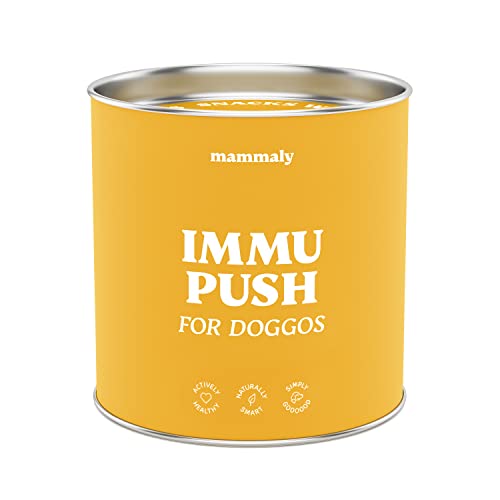 mammaly® Immu Push Hunde Vitamin Snack für EIN Starkes Immunsystem, mit wichtigen Vitaminen und Vitalstoffen, unterstützt die körpereigenen Abwehrkräfte (1xDose)