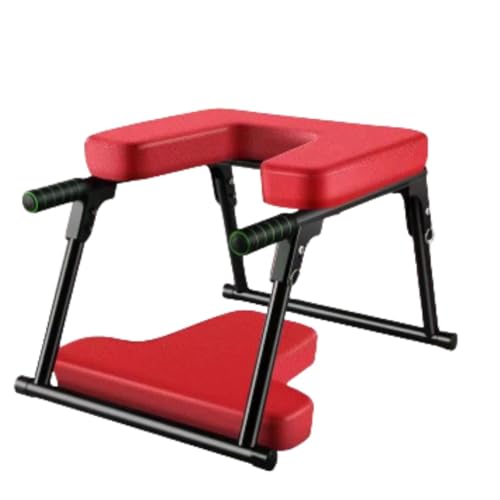 t֎q K]x` K⏕Xc[ {fB[rp Kpi KppCv֎q K`FA seBX @\t֎q N (AbvO[hꂽ)