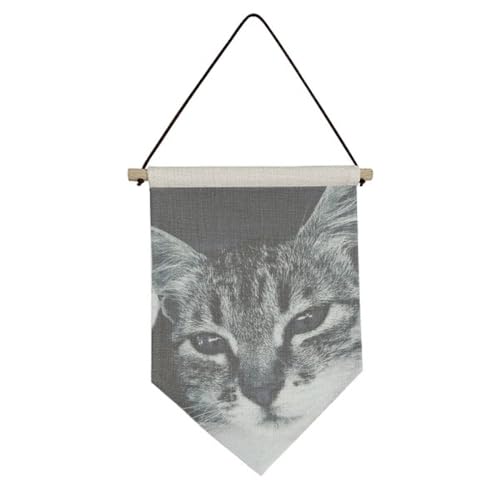 Drapeau chat gris suspendre pour cacher un mur abîmé facilement
