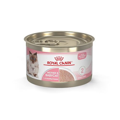 Royal Canin Feline Health Nutrition Mother & Babycat Queen Ultra Soft Mousse in Sauce Cat Food 5.1 oz (Pack of 24)