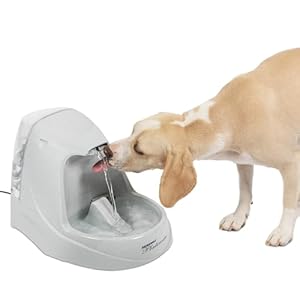 PetSafe Drinkwell Platinum Dog and Cat Water Fountain, Automatic Drinking Fountain for Pets, 168 Ounce,Grey