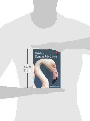 Birds of Kenya's Rift Valley (Wildlife Explorer Guides) - Image 2