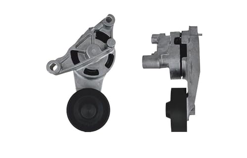 Poulie tendeur de courroie RNK-AU-023 contre l'usure de transmission Seat Audi A3