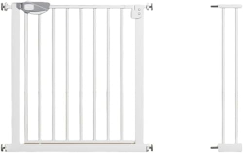 GEBYUI eV^CvutFX ցEKip p`t[ J Ԃ & ybgSیtFX