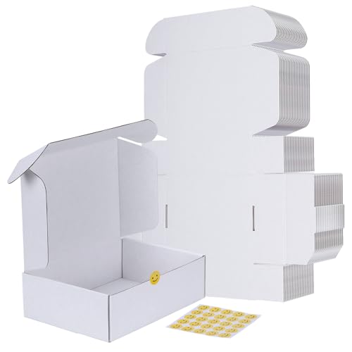 RLAVBL 25 Stück Doppelseitig Weiß Versandkartons, Maße: 25,4 x...
