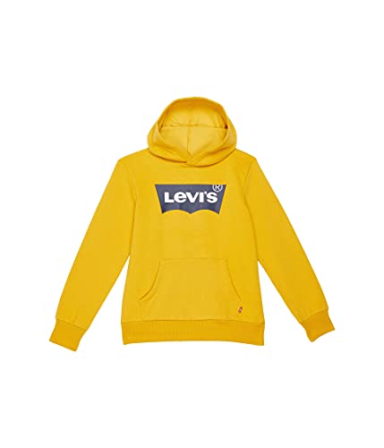 Image of Levi's Boys' Soft Knit Graphic Pullover Hoodie