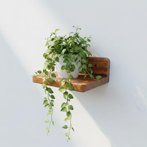 Image of Premium Solid Wood Floating Wall Shelves (4-Piece Set, 18x15 cm) - Rustic Wall-Mounted Display for Plants & Home Decor, Heavy-Duty, Easy Installation for Living Room, Bedroom & Office. inch