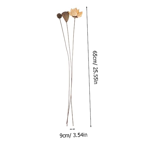 Arreglo Floral Centro de Mesa Flor de Loto Seco miniatura 2