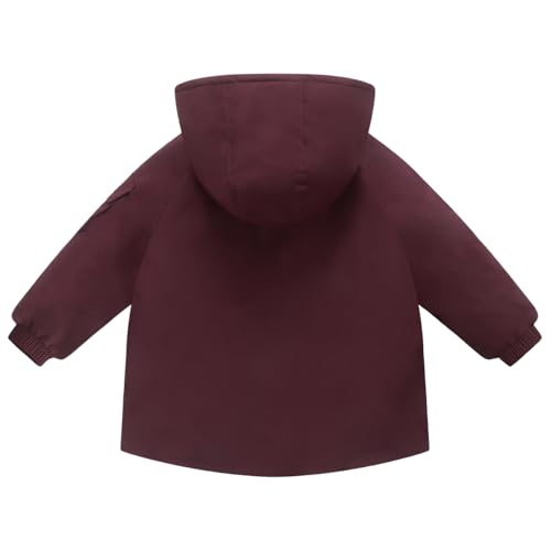 Boy Fleece Jacket with Hood Winter Puffer Coat Kids Soft Water Resistant Clothes2