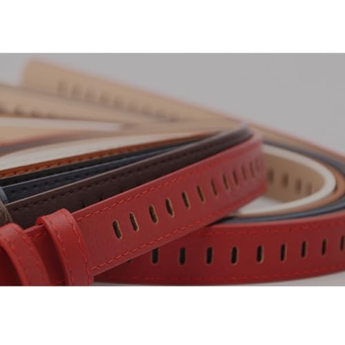 Waist Belt, Vintage Leather Jeans Belt, Women Fashion Belt for Pant, Multiple Holes Belt PU Belt Fashion & Classic Designs fo3