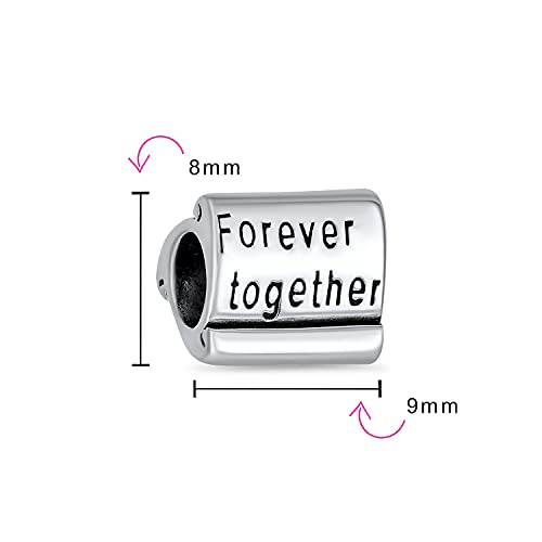 Abalorio de plata de ley compatible con pulsera europea para renovar joyas de mujer con estilo 7