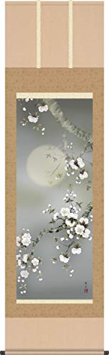 掛軸 掛け軸-夜桜/緒方葉水(尺五)1A2-010 床の間 和室 モダン おしゃれ 日本製 ギフト 表装 壁飾り 四季 花鳥画掛軸