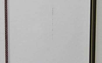 【ヒロ・ヤマガタ】　ハイビスカス　シルクスクリーン　山形博導　額装可 Amazon.co.jp: 額装 ヒロヤマガタ 「ハイビスカス」 シルク