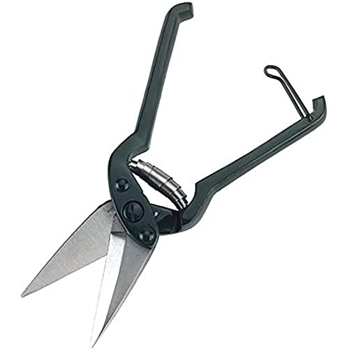 Kerbl Ciseaux à Griffes pour Moutons Non dentés Type Standard