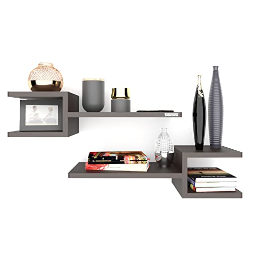 ESTANTERIA Anticuado Engineered Wood Modern Wall Mounted Shelf Display Rack for Books and Home Decor in Home and Office (Wenge Finish)