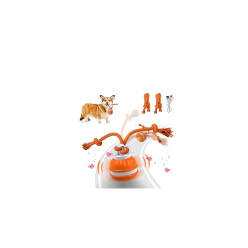 Interactive Dog Toys,2026 Upgraded Motion Activated Balls fo