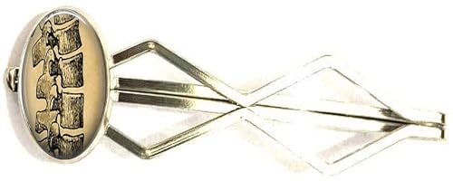 Vintage Human Anatomy - The Spine - Gifts for Him - Gift for Chiropractor or Spinal Surgeon - Bone Doctor - Chropractic PresentHAIR ACCESSORIES Handmade Hair Snap Clips pin hairpin hair clip