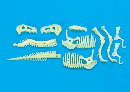 Image of Dino Fossil 3 In 1 Set - Multicolor