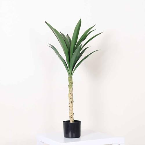 [LJKI] A tFCNO[ bJ̖ ^̊ϗtA  sv Xg JtF ItBX 150cm j A  ͂Ȃ lHA   CeAO[ V v[g ϗt lHϗtA K̖