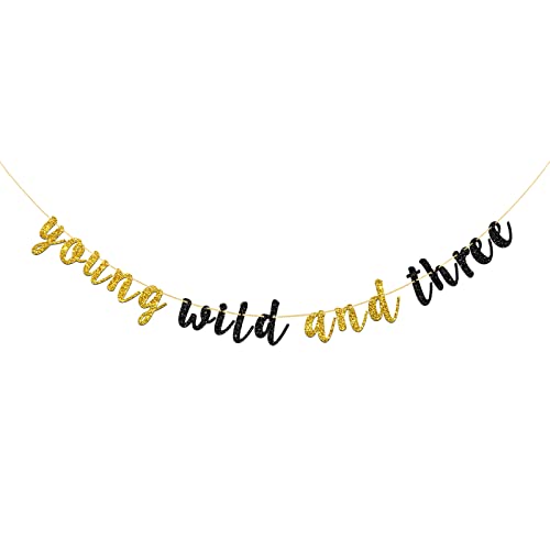 Talorine Young Wild and Three Banner - Gold Black Glitter Happy 3rd Birthday Party Decoration, Three Years Old Party Supplies, Children 3rd Birthday Bunting