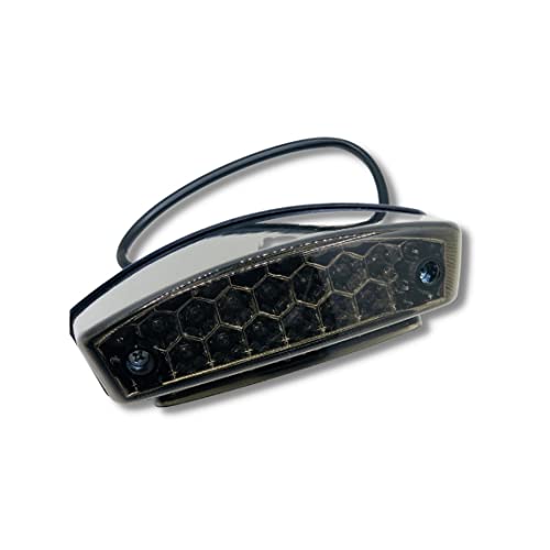 Yecnecty - 1 lente de humo universal para motocicleta, 21 luces LED de freno trasero para Ducati Monster M400 M750 M900 M1000 620 695 800 S2R S4R Vespa