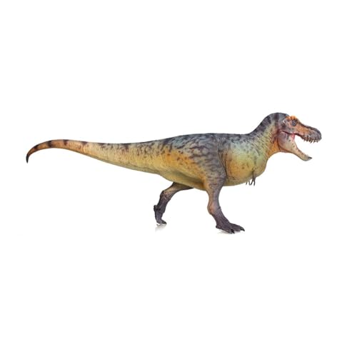 Modèle de dinosaure Tyrannosaurus Rex haute fidélité, figurine de collection AMITD couleur B