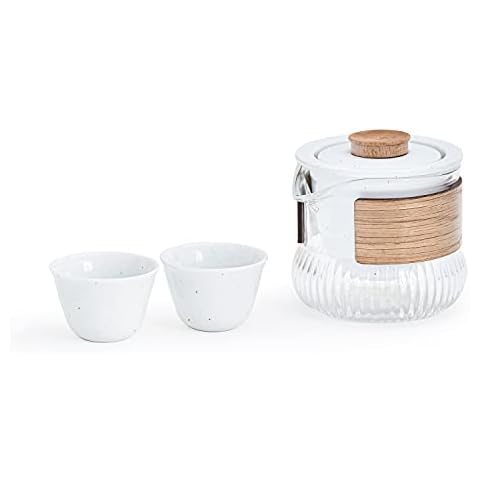 Glass Teapot Set with Infuser for Straining Loose Leaf Tea, Chinese Kung Fu Tea Set, 2 Ceramic Cups, Small Size with Eva Case, Easily to Carry (White) Cover