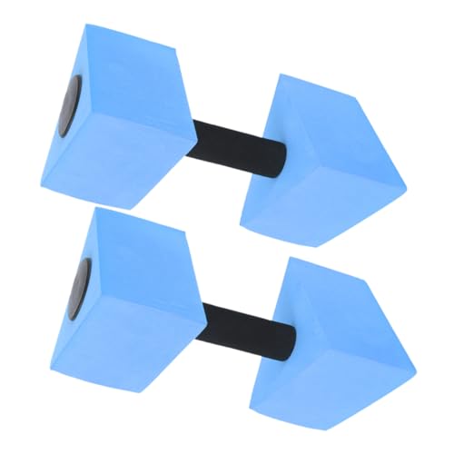 2pcs Waterpark Essentials Dumbbell Weight Pool Weights