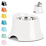 Petvillage Tilted Elevated Dog Bowls Non-Slip & Non-Spill Pet Feeder with Elevated Detachable Melamine Stand, High Capacity Tilted Dog Bowl for Medium Small Size Dogs M/2 Cup White