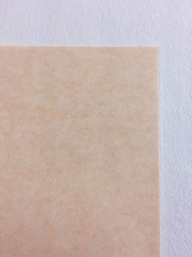 Amazon 羊皮紙 古染 80kg 10枚 和紙 ホビー