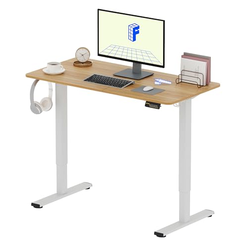 FLEXISPOT 120x60cm Escritorio Eléctrico Ajustable en Altura, Standing Desk Escritorio para Computadora con Gancho, Función de Memoria, para Oficina y Dormitorio