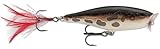Rapala(ラパラ) ポッパー スキッターポップ 7cm 7g フロッグ F SP7-F ルアー