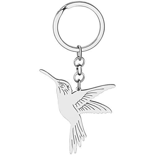 LONYOO Llavero Colibrí Acero Inoxidable Colibrí Pájaro Regalos para Mujeres Niñas Monedero Coche Llavero Charms (Plateado)