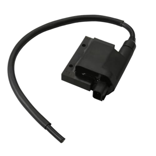 Bobine d'allumage pour People 125cc résout les ratés moteur 3051A-LHG8-E00