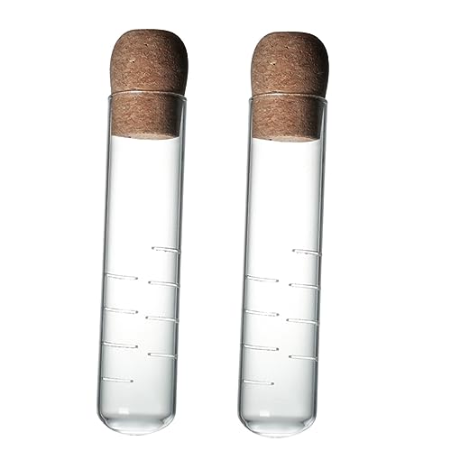 Luxshiny Colador De Té y Tubo Colador De Té Transparente 2 Piezas De Vidrio Filtro Fino Material Resistente Corcho Para Uso Doméstico y Restaurantero