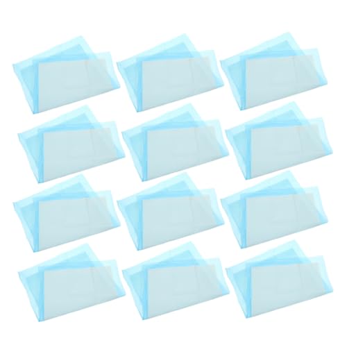 SUPVOX 100 Piezas Cambiador Desechable Empapadores Perros Almohadillas De Entrenamiento para Mascotas Almohadillas para Caca De Perro Almohadilla para Perros Sky-Blue Tela No Tejida