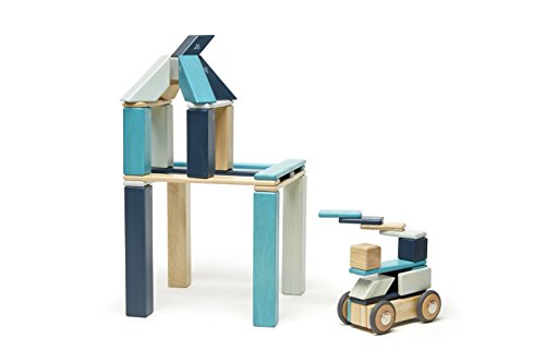 42 Piece Tegu Magnetic Wooden Block Set, Blues, 1-99 Years Old #TOP6