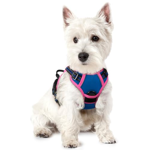 Image of rabbitgoo Dog Harness No Pull with 2 Leash Clips, Adjustable Soft Padded, Reflective Oxford No Choke Pet Vest with Easy Control Handle for Large Dogs, Blue & Hot Pink, XS