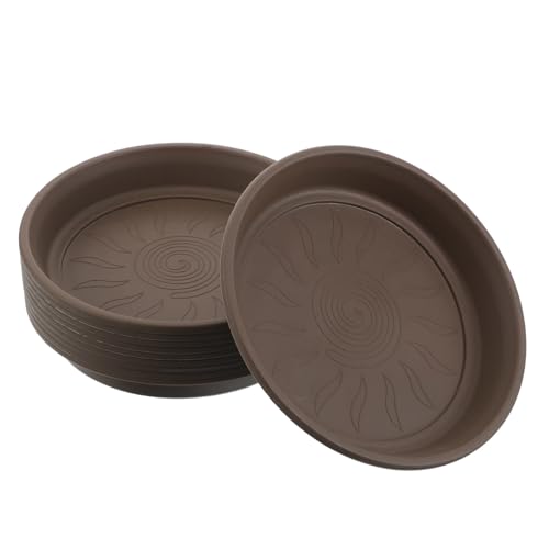 UKCOCO 10�̐A�ؔ��v���[�g�F�����I�ȐA���󂯎M - �������E�H�[�^�[�g���C - �������O�̔��A���A���Ɩ~�͂̃R���e�i�p�̃��j�o�[�T���r���x�[�X