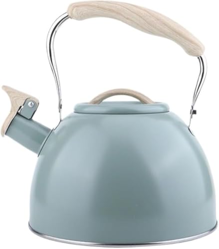 XiraivkeKX/IH ΉXeXPbg 3L e Jt L݌v ؖڃnh ƒp Lb`pi?