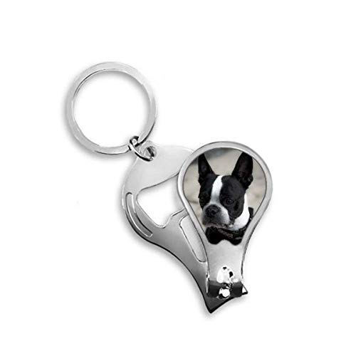 Coupe-ongles pour chien bouledogue idéal pour la toilette à la maison