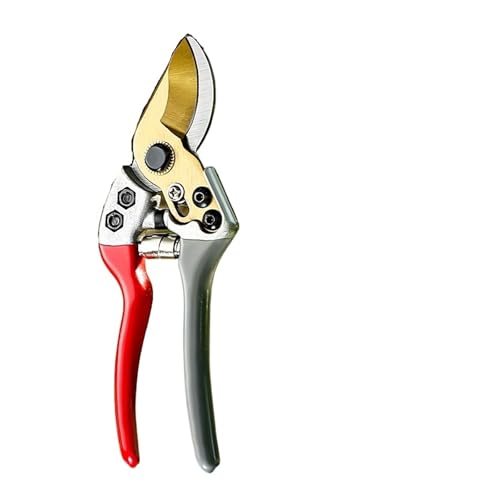 ؂̙H ΂ ʎp 虒 ʎ(Gold)