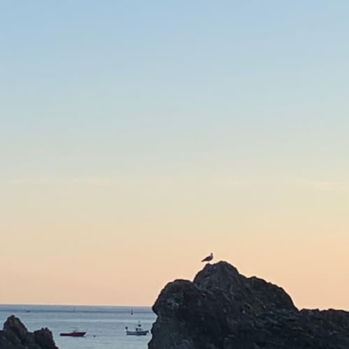 &ldquo;OVUNQUE , MA NON QUI&rdquo; (estate1982 dopo il ritorno dalla California)Monica Vallarin / autonarrazione agonistica