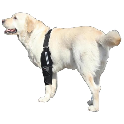 Nikkashop  IT|[^[ Op x EP ی ֐߃T|[^[ ֐߃veN^[ ֐ߕی Ђ ^R ΍ O pi VjA I  r I V V (XS, Op)